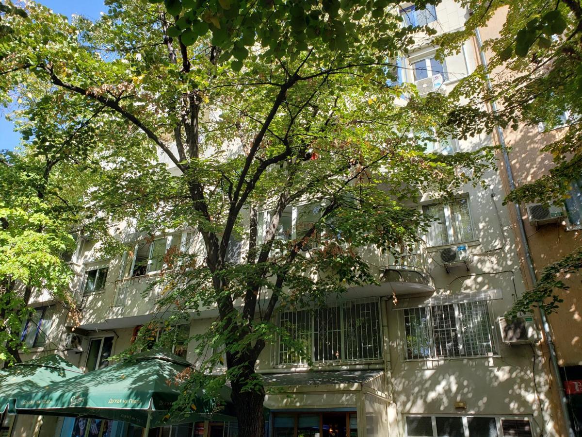 Spacious 2Bdr - Free Parking - Walk Everywhere - 300 Mbps Wifi 瓦爾納 外观 照片